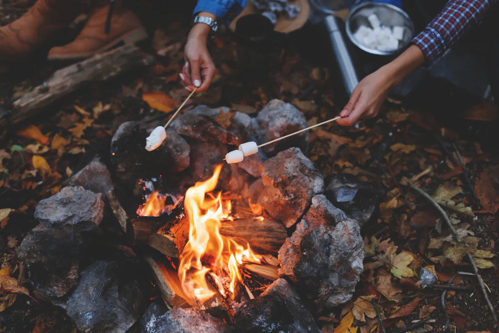 Perfect Firewood for Fall and Winter